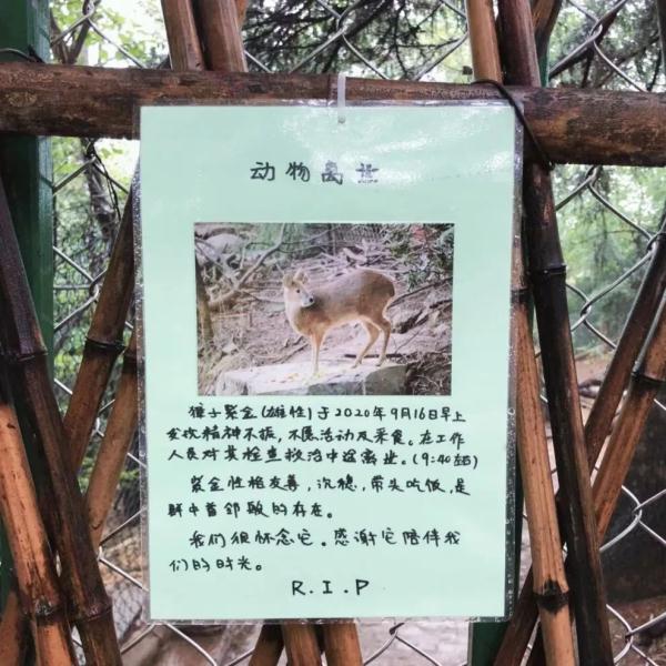 老马走了，这则讣告刷屏……