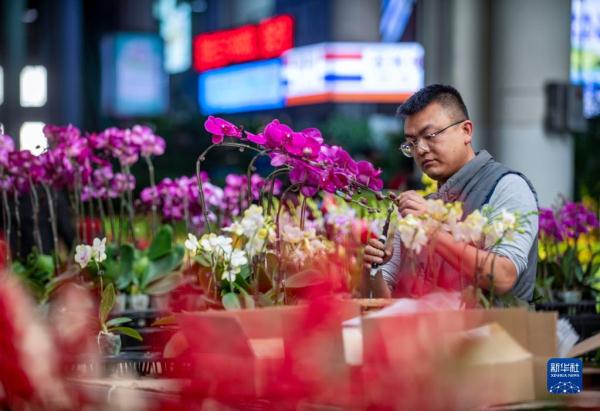 昆明斗南花市：花海人潮涌动活力