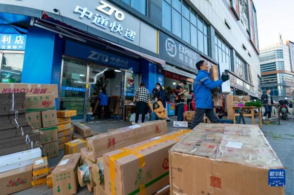 昆明斗南花市：花海人潮涌动活力