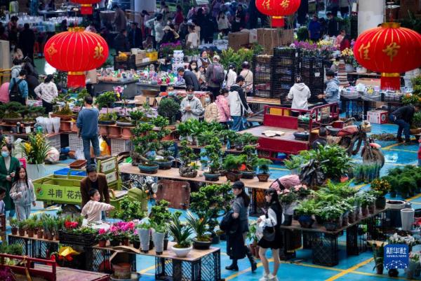 昆明斗南花市：花海人潮涌动活力