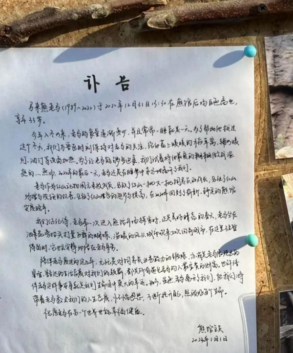 “老马走了”