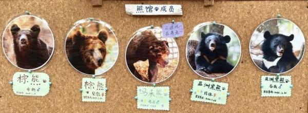 “老马走了”