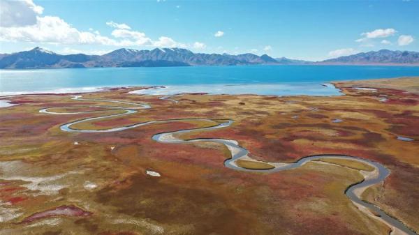 【健康科普】都说“药补不如食补”，真正的食补是这样的