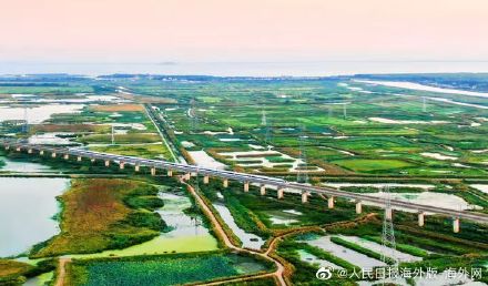 中国助推世界湿地保护高质量发展
