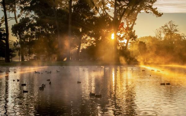 世界湿地日 | 你有几种色彩
