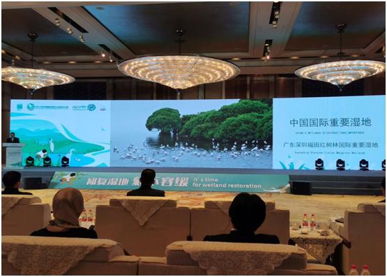 深圳福田红树林湿地列入国际重要湿地名录 深圳福田红树林湿地列入国际重要湿地名录