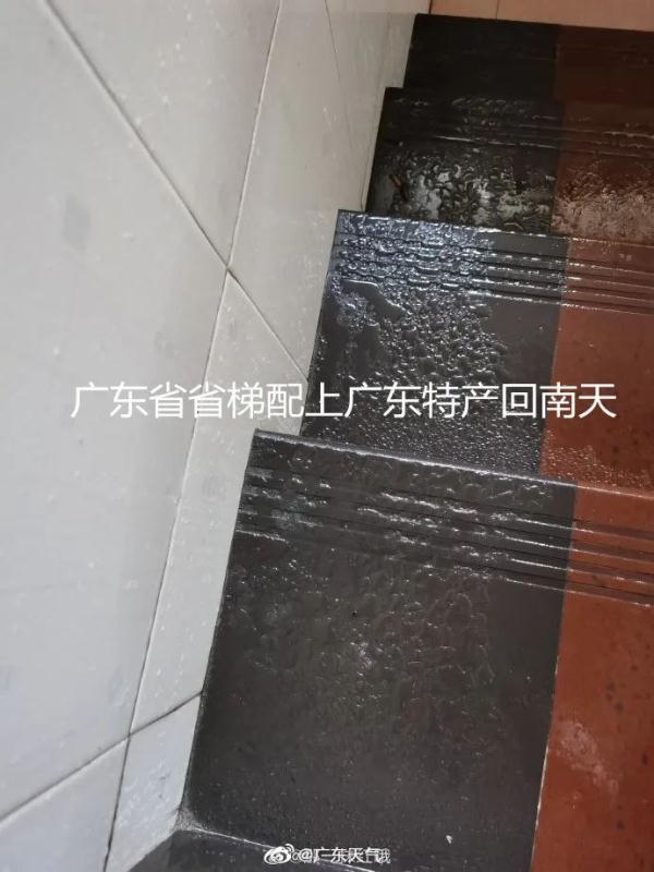 广东天气湿度“狂飙”，雨雾天气杀到，回南天要来了？