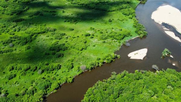 世界湿地日 | 你有几种色彩