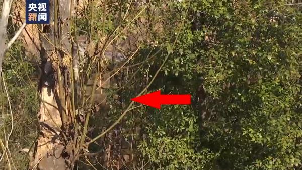 胡某宇失踪106天后被发现 围绕诸多疑点 总台记者独家追踪采访 胡某宇失踪106天后被发现 围绕诸多疑点 总台记者独家追踪采访