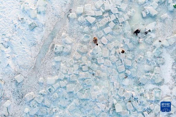 “冰城”哈尔滨:“钻石海” 引客来 “冰城”哈尔滨:“钻石海” 引客来