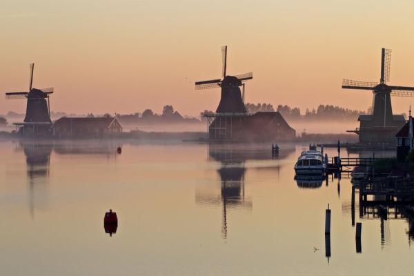 世界湿地日 | 你有几种色彩