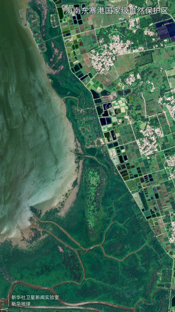 卫星视角看大美湿地