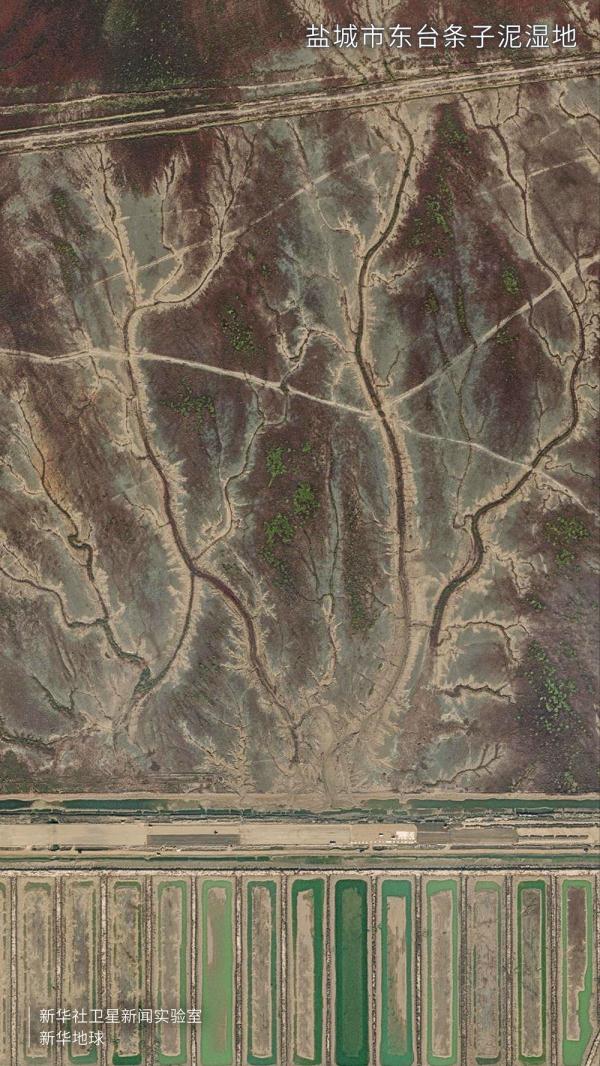 卫星视角看大美湿地