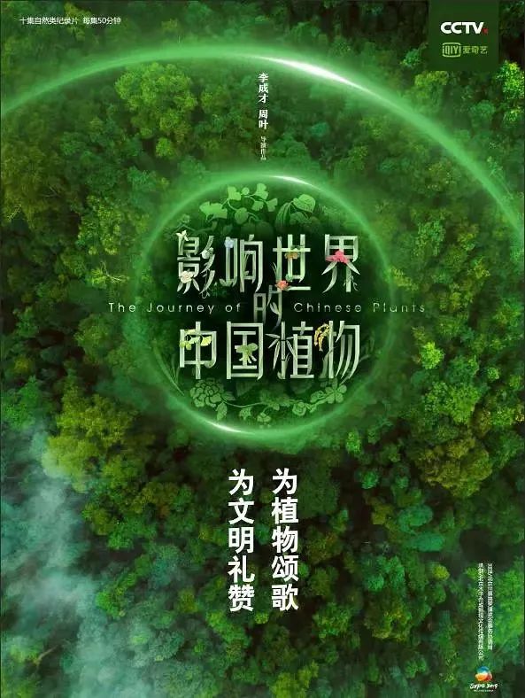《三体》能给孩子带来什么？还有这些科学题材的纪录片适合孩子！（快趁寒假看）