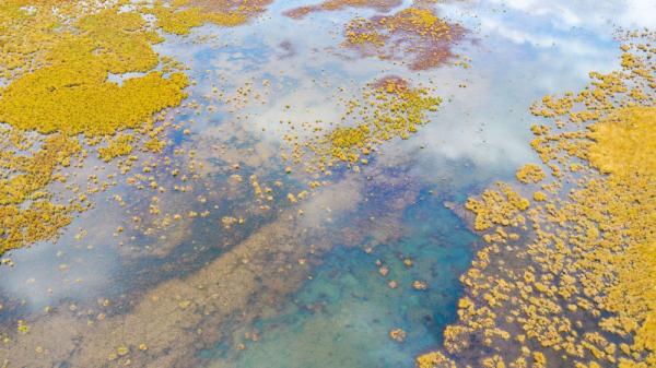 世界湿地日 | 你有几种色彩