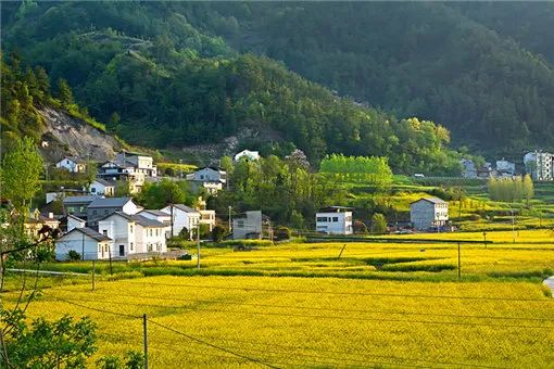 农村“有户无宅”和“一户多宅”问题该如何解决？