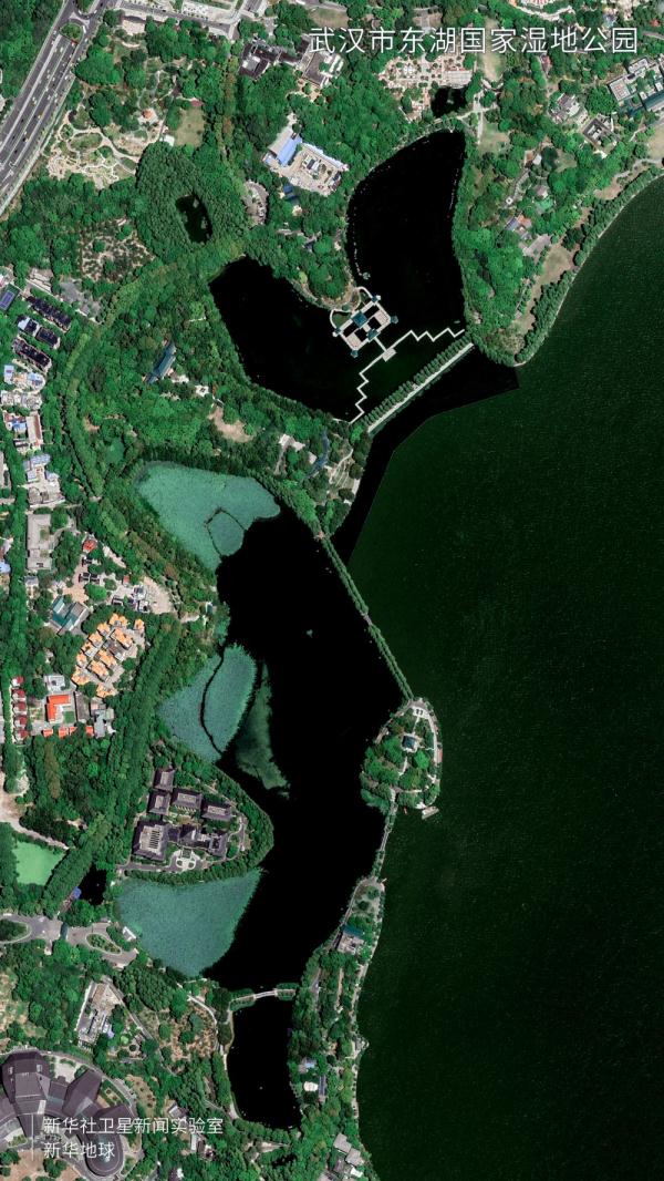 卫星视角看大美湿地