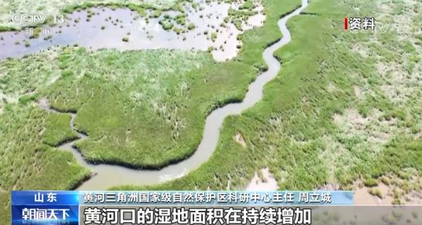 我国现有湿地约5635万公顷 各地湿地保护与恢复工作正在进行中