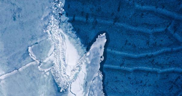 世界湿地日 | 你有几种色彩