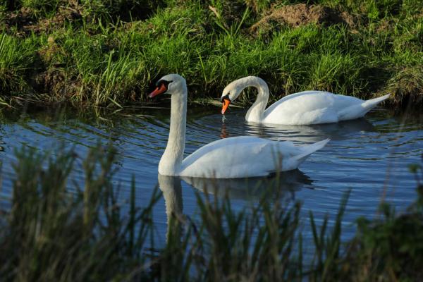 世界湿地日 | 你有几种色彩