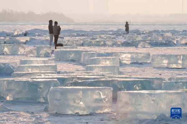 “冰城”哈尔滨:“钻石海” 引客来 “冰城”哈尔滨:“钻石海” 引客来