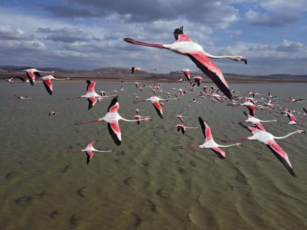 世界湿地日 | 你有几种色彩