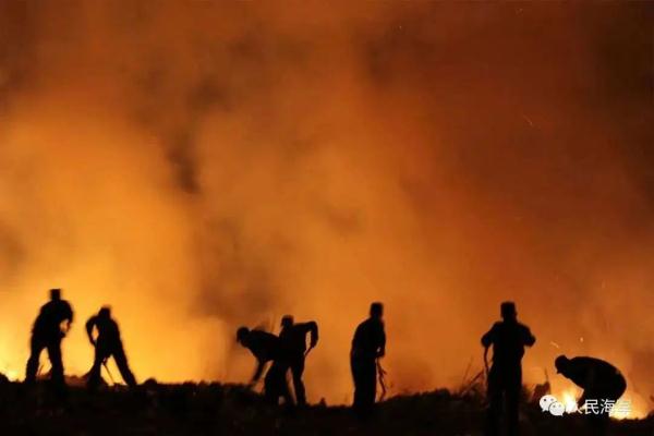 希望这些照片能让更多人看见，除了他们的妈妈