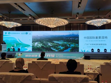 广州海珠国家湿地公园成为国际重要湿地 广州海珠国家湿地公园成为国际重要湿地