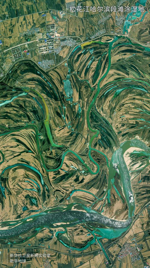 卫星视角看大美湿地
