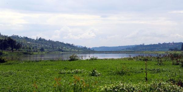 世界湿地日 | 你有几种色彩