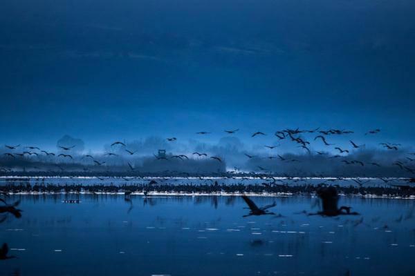 世界湿地日 | 你有几种色彩