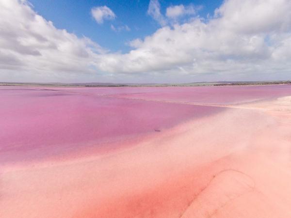 世界湿地日 | 你有几种色彩