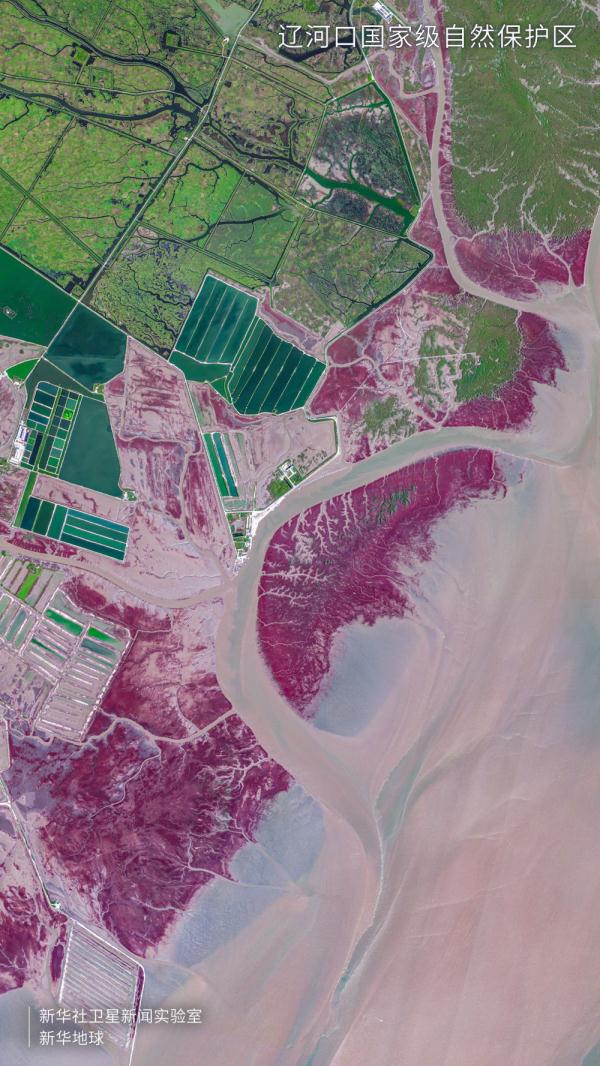 卫星视角看大美湿地