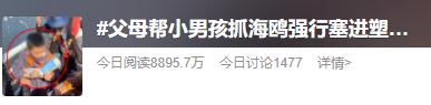 家长带“熊孩子”抓海鸥塞进罐子！昆明人怒了！警方锁定当事人！