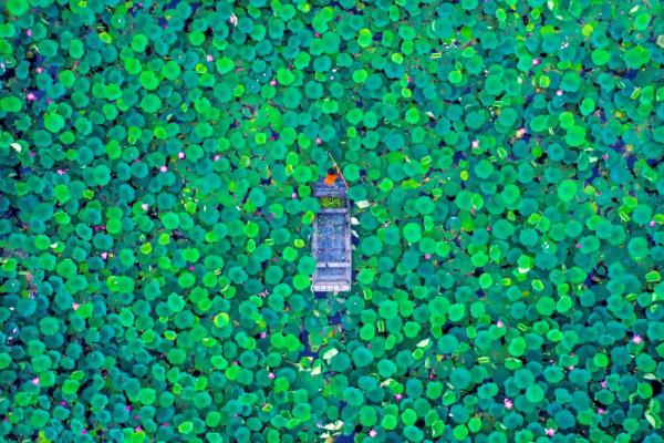 世界湿地日 | 你有几种色彩