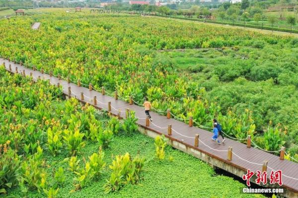 赴一场视觉盛宴 航拍大片带你飞“阅”祖国湿地之美