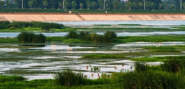 我国新增18处国际重要湿地，湿地总面积世界第四