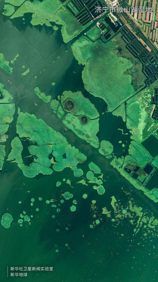 卫星视角看大美湿地