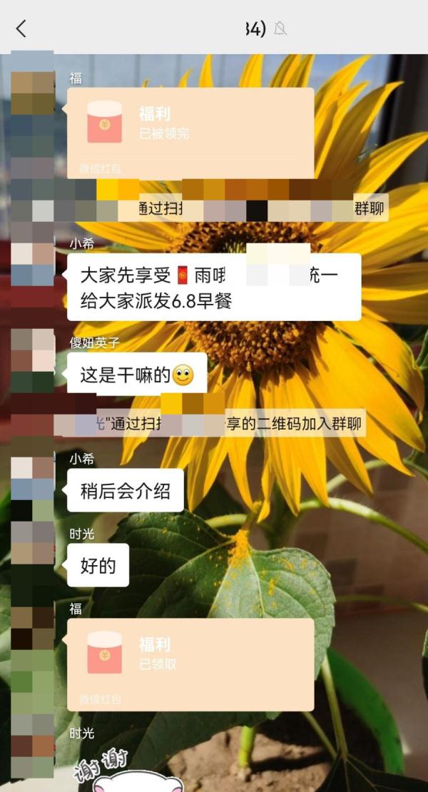 电影票房“刷”不得！