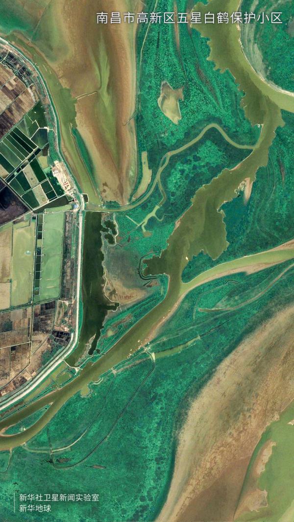 卫星视角看大美湿地
