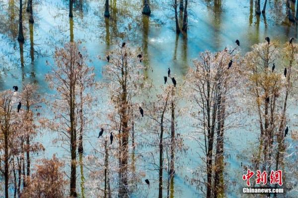 赴一场视觉盛宴 航拍大片带你飞“阅”祖国湿地之美