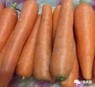 润肺、清热、化痰、祛火……萝卜搭一物，功效大不同