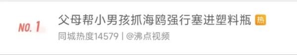 家长带“熊孩子”抓海鸥塞进罐子！昆明人怒了！警方锁定当事人！