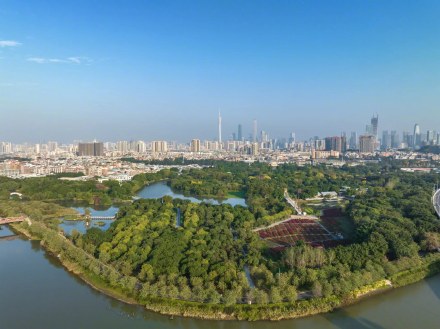 广州海珠国家湿地公园成为国际重要湿地 广州海珠国家湿地公园成为国际重要湿地