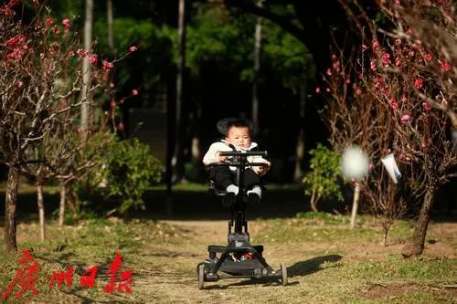 元宵花市灯如昼!今年元宵,去广州哪里赏花灯?当晚或有“彩云追月”? 元宵花市灯如昼!今年元宵,去广州哪里赏花灯?当晚或有“彩云追月”?