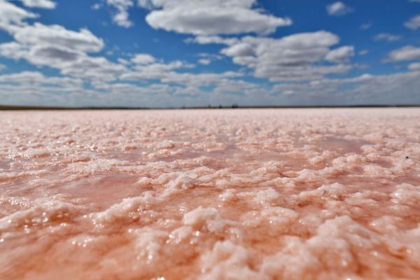 世界湿地日 | 你有几种色彩
