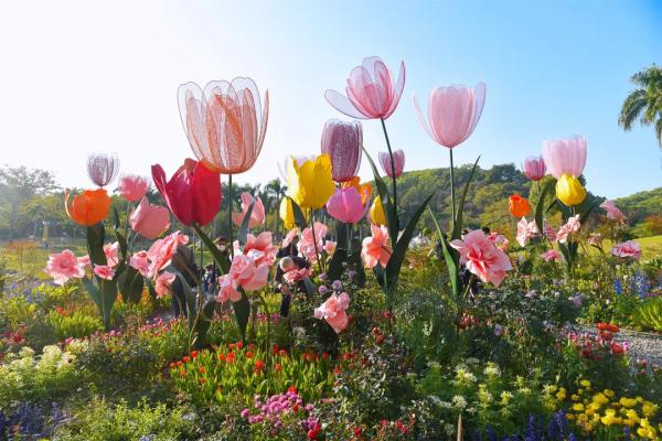 正式亮灯!在广州过元宵,也太浪漫了吧→ 正式亮灯!在广州过元宵,也太浪漫了吧→