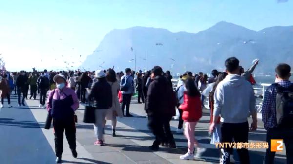 家长带“熊孩子”抓海鸥塞进罐子，昆明警方锁定当事人