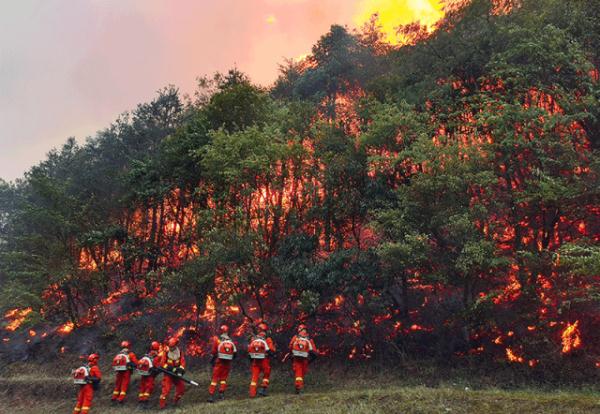 支援重庆山火救援的他们，收到特殊“礼物”！