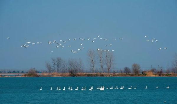 我国新增国际重要湿地18处！跟随镜头一同领略中国湿地之美